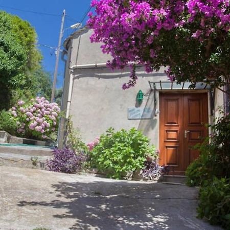 Maison Simonpietri Cagnano Extérieur photo